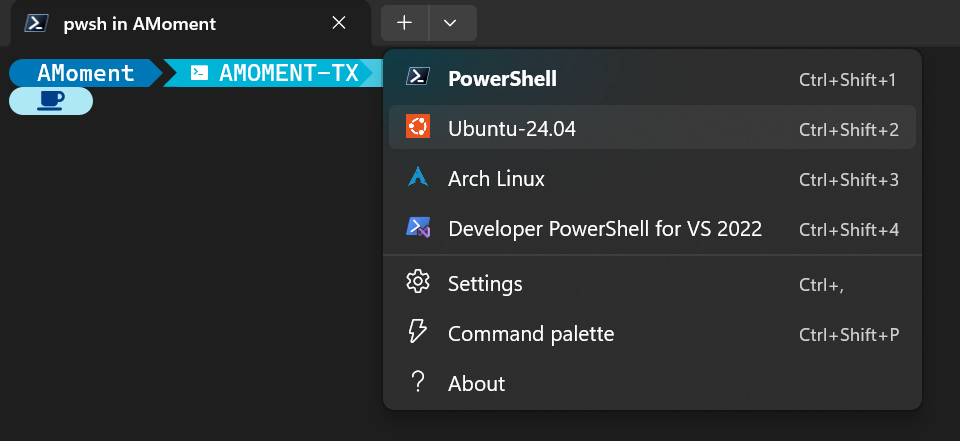 安装好的 WSL